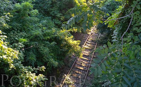 Пропуснатите обработки против кърлежи ще се проведат на 2, 5 и 7 май