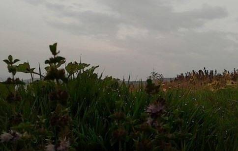 Днес облачно с валежи. Максималните температури ще са между 18° и 23°