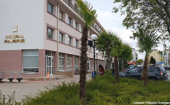 Поморие стана по-зелен с 50 нови палми