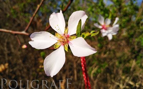 Предимно слънчево и топло ще бъде времето днес