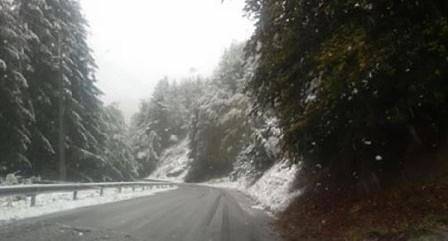 Зимни температури сковаха страната. На Витоша падна сняг