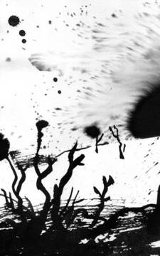 Крадецът на праскови