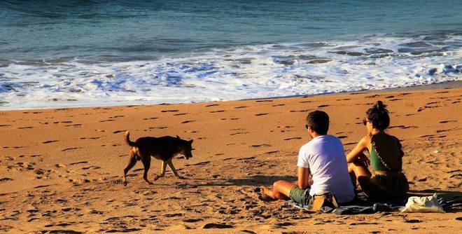 Къде почиват най-много?