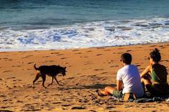 Къде почиват най-много?