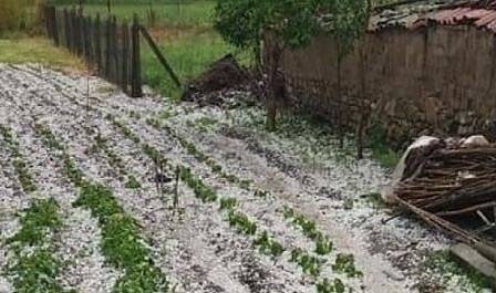 Сформирани са комисии за оценка на щетите от градушката в Карлово и Нова Загора