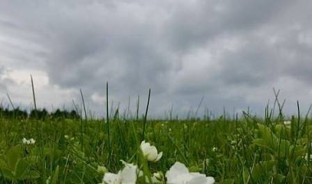 Днес разкъсана облачност с краткотрайни валежи. Максималните температури ще са между 18° и 23°