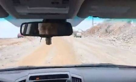 Бойко: Хубаво е да гледаш как се строи магистрала „Хемус“ и да намалява държавният дълг (ВИДЕО)