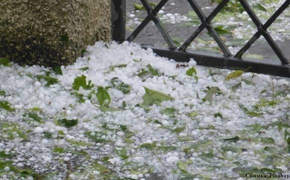 Градушка колкото орех унищожи розови насаждения в Карловско