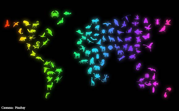 Отбелязваме Международния ден на биоразнообразието
