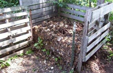 Вашингтон позволи починали хора да се превръщат в почва за растения