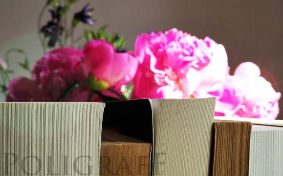 Манолова с кампания срещу ДДС при дарението на книги