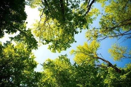 Днес слънчево и по-топло. Максималните температури ще са между 24° и 29°