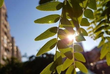 Днес преди обяд слънчево, след обяд с валежи. Максималните температури ще са между 26° и 31°