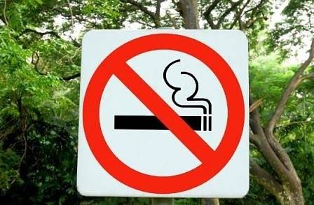 Забраниха пушенето в 52 обществени парка и градини в Париж