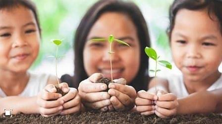 Всички филипински ученици трябва да засадят 10 дървета преди да завършат