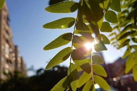 Днес слънчево, а след обяд с валежи. Максималните температури ще са между 25° и 30°