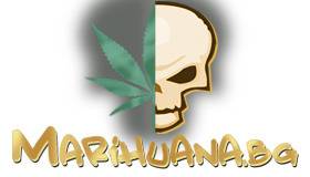 Куршуми летяха в Петрич! Наркодилъри и полицаи в луда престрелка