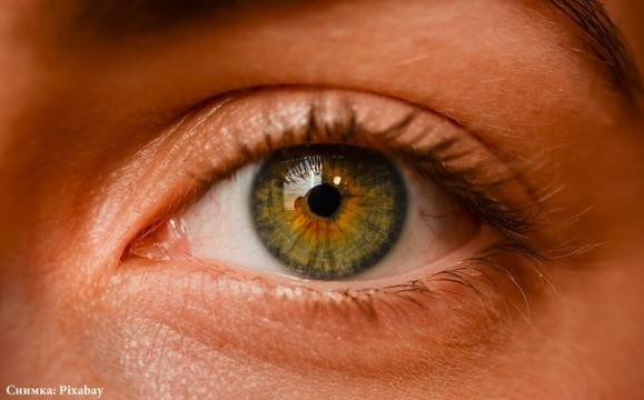 Френски учени: LED крушките повишават риска от увреждане на ретината