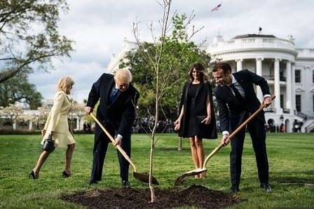 Изсъхна дървото на приятелството между Доналд Тръмп и Еманюел Макрон