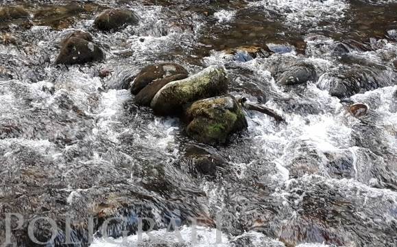 РИОСВ: Речните корита и пътищата в региона са чисти и в добро състояние