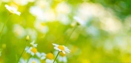 Днес слънчево и горещо с максимални температури между 29° и 34°