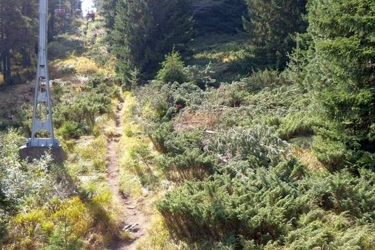 Лифтовете на Витоша най-после работят