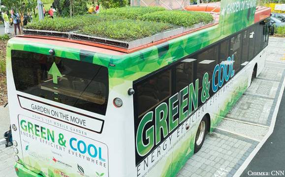 Автобуси със „зелени покриви“ борят замърсяването на въздуха в Сингапур