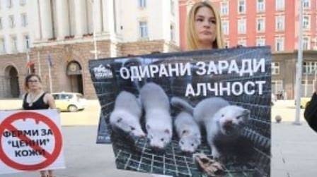 Протест пред МС срещу убиването на животни за кожите им (СНИМКИ)
