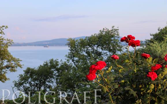 Слънце и жега в прогнозата за времето днес