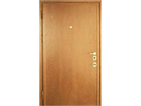 Входна врата E4