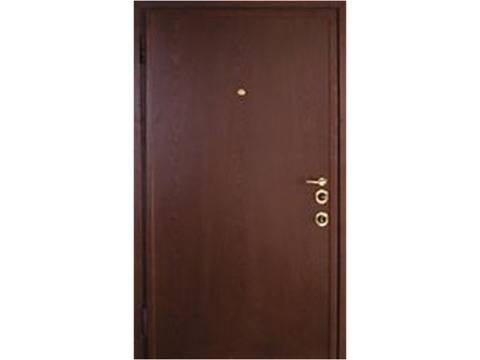 Входна врата E5