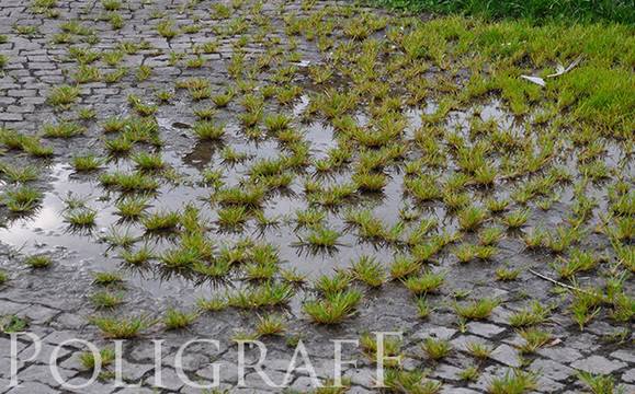 Дъжд и гръмотевици ще понижат температурите в четвъртък