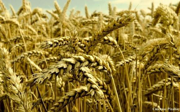 Отбелязваме Летния Атанасовден