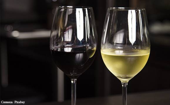 Безалкохолно вино и напитки в цветовете на дъгата на Wine Fest Burgas 2019