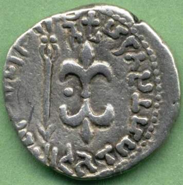 Хералдическата лилия: Какво означава и каква е нейната история?