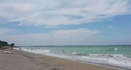 ДАЗД реагира адекватно в подкрепа на децата от Кнежа, които са на лагер в Слънчев бряг