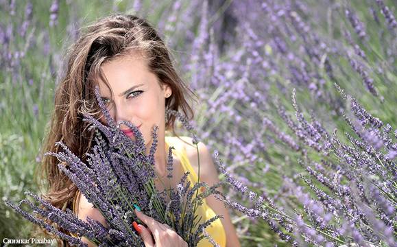 Производители на лавандула негодуват срещу желаещите да се снимат в нивите им