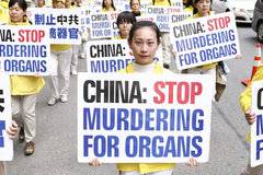 20 години преследване на Фалун Гонг в Китай: факти и международна подкрепа