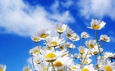 Днес слънчево с максимални температури между 29° и 34°