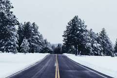 Автомобили под наем от СпидиКарс в София