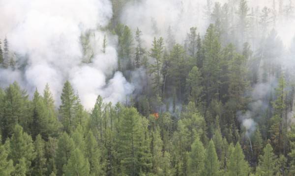 Пожарите в Сибир погълнаха 3 милиона хектара гори