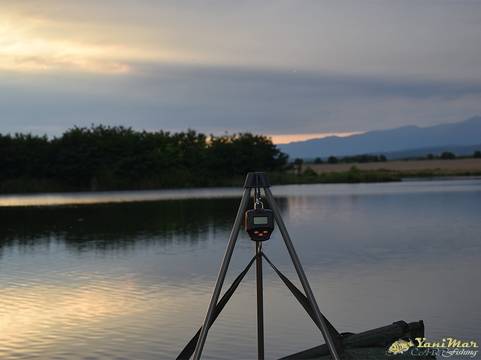 Fox Digital Scales 60kg Inc Case