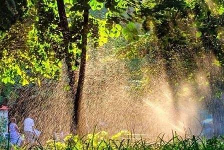 Днес слънчево и горещо с максимални температури между 33° и 38°