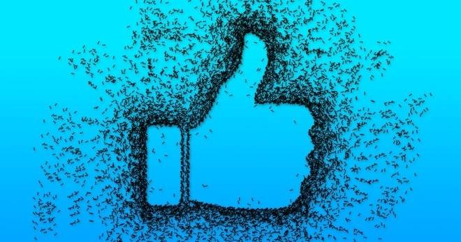 Отговорност на сайтовете при събиране на лични данни – решение на Европейския съд