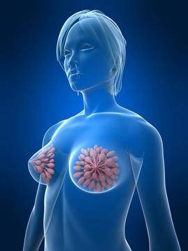 Болка в гърдата – масталгия