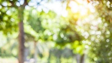 Днес слънчево и горещо с максимални температури между 32° и 37