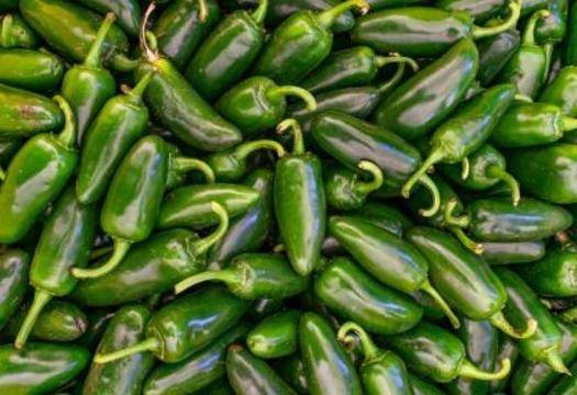 Граничари провериха ремарке на трактор и онемяха от видяното |