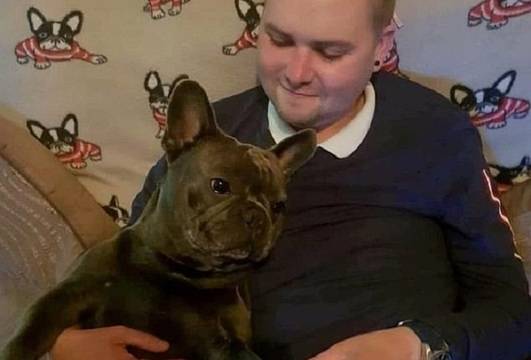 Булдог умира 15 минути след смъртта на собственика си