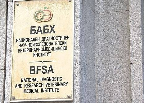 БАБХ проверява сигнал за внесен у нас фураж, заразен със салмонела
