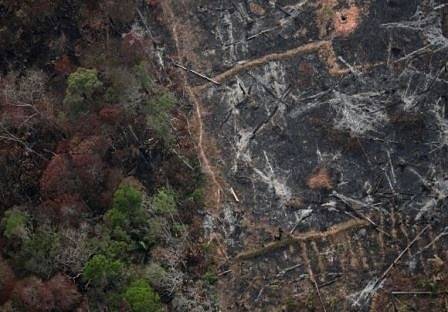 Бразилският президент обвини еколозите за пожарите в амазонската тропическа гора